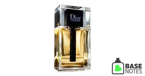 dior homme 2020 basenotes|Dior eau de toilette 2020.